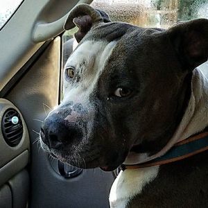 Meet your Posher, Eroskrat